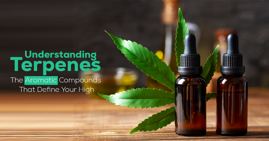 Understanding Terpenes: The Aromatic Compounds That Define Your High