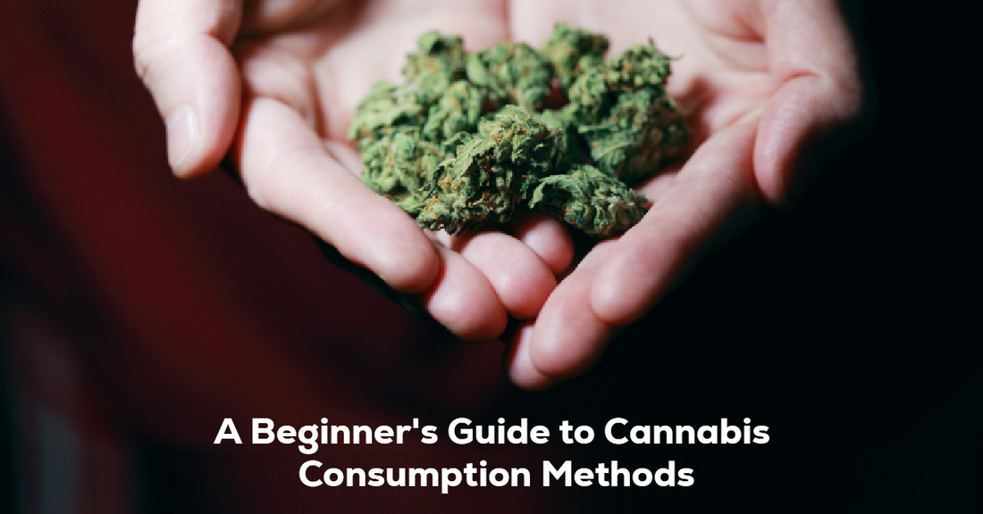 A Beginner's Guide to Cannabis Consumption Methods