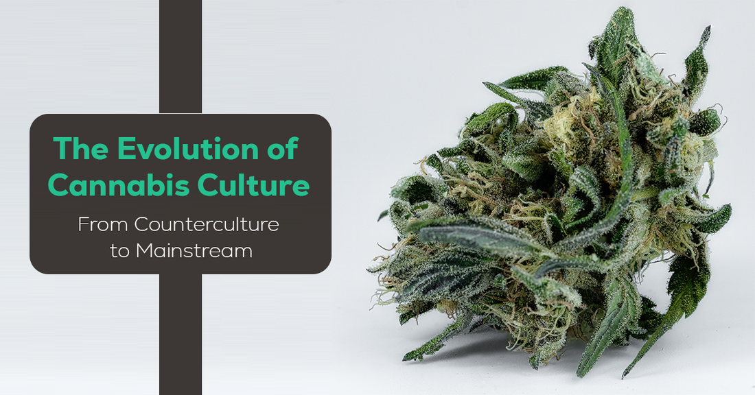 The Evolution of Cannabis Culture: From Counterculture to Mainstream